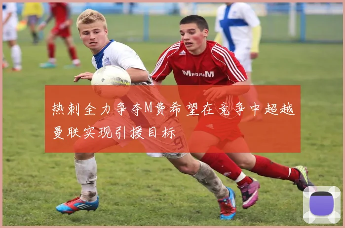热刺全力争夺M费希望在竞争中超越曼联实现引援目标