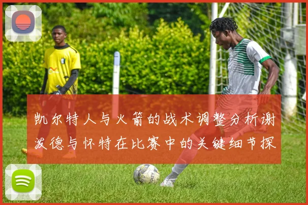 凯尔特人与火箭的战术调整分析谢泼德与怀特在比赛中的关键细节探讨