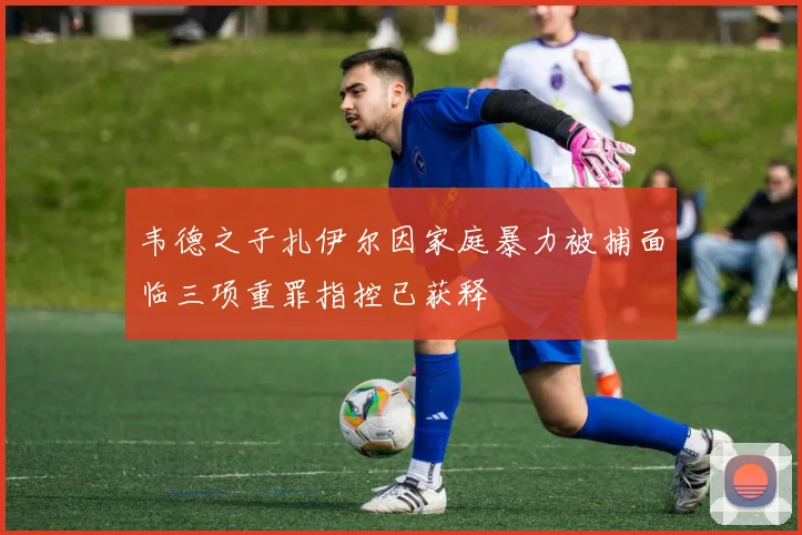 韦德之子扎伊尔因家庭暴力被捕面临三项重罪指控已获释