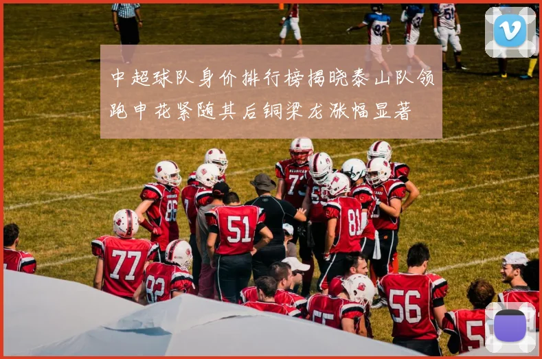 中超球队身价排行榜揭晓泰山队领跑申花紧随其后铜梁龙涨幅显著